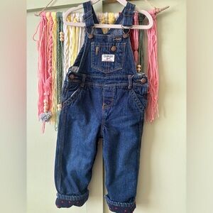 Fleece lined overalls
